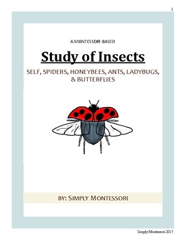 Preview of 79 paged Montessori Study of Insect Curriculum Preschool Homeschooling