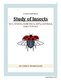 79 paged Montessori Study of Insect Curriculum Preschool H