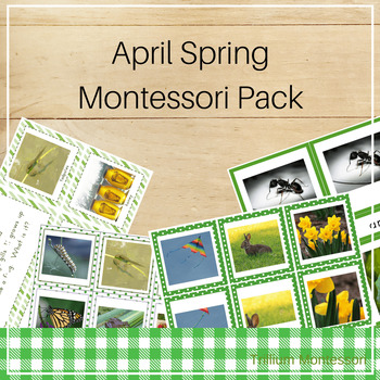 Preview of Montessori Style Activities for April and Spring