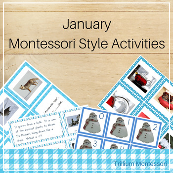 Preview of Montessori Style Activities for January