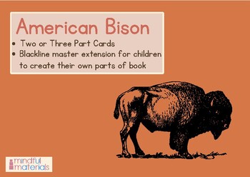 Preview of Montessori Three Part Cards-American Bison