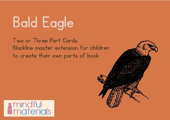Preview of Montessori Three Part Cards-Bald Eagle