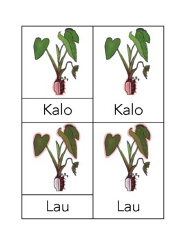 Preview of Montessori Three Part Cards (Botany): Parts of the Kalo ('Ōlelo Hawai'i)