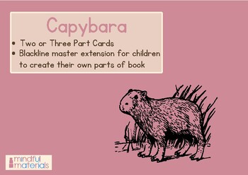 Preview of Montessori Three Part Cards-Capybara