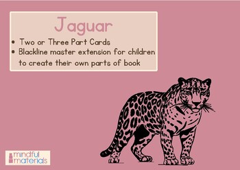 Preview of Montessori Three Part Cards-Jaguar