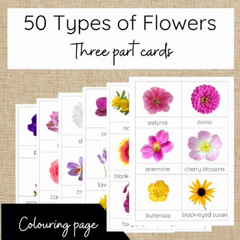 Preview of 50 Types of Flowers
