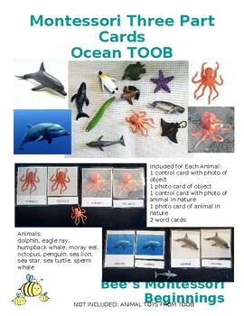 Preview of Montessori Three Part Cards for Safari OCEAN TOOB