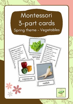 Preview of Montessori Three Part Cards for Spring Theme Vegetables