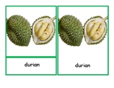 Montessori Three Part cards - Tropical Fruits - 25 fruits 