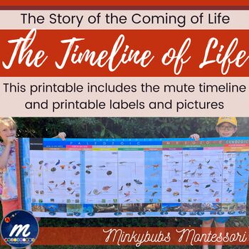 Preview of Montessori Timeline of Life Second Great Lesson Large Printable Format