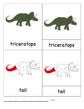 Preview of Montessori Triceratops Nomenclature Cards (3 Part cards)