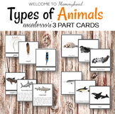 Montessori Types of Animals Cards