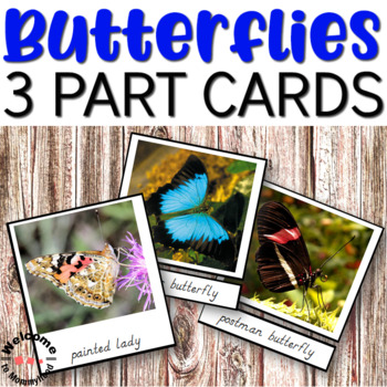 Preview of Montessori Types of Butterflies 3 part cards