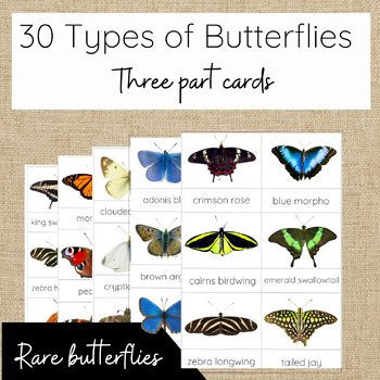 Preview of 30 Types of Butterflies