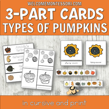 Preview of Montessori Types of Pumpkins 3-Part Cards in Cursive and Print