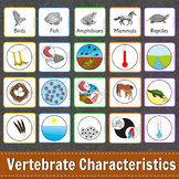 Montessori Vertebrate Characteristics Learning Pack