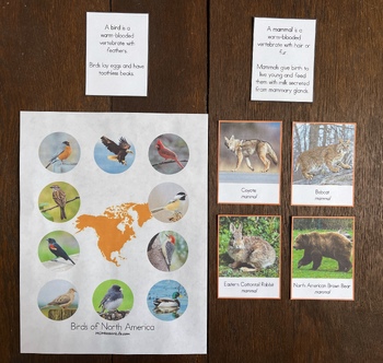 Preview of Montessori Vertebrates of North America Bundle