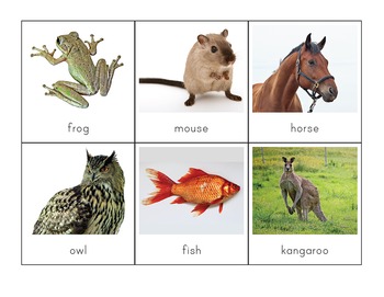 Montessori Vertebrates vs. Invertebrates Picture Sorting Cards | TPT
