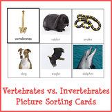 Montessori Vertebrates vs. Invertebrates Picture Sorting Cards