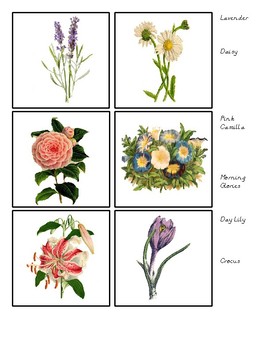 Vintage Flowers Matching Cards by Bella Learning Materials | TpT