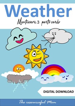 Preview of Montessori Weather Activity Set, 3 parts cards.