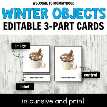 Preview of Montessori Winter 3-Part Cards in Print and Cursive
