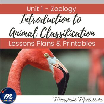 Montessori Animal Classification Teaching Resources | TPT