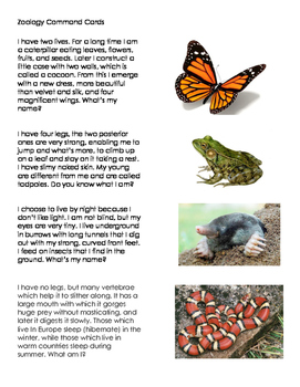 Preview of Montessori Zoology - First Knowledge - Story Command Cards