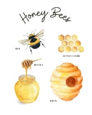 Montessori-inspired Honey Bee Printables 8x10