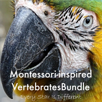 Preview of Montessori-inspired Vertebrates Bundle