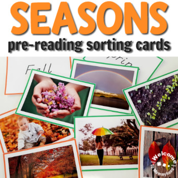 Preview of Montessori inspired seasons classification cards (perfect for pre reading)