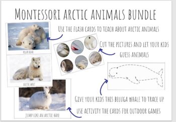Preview of Montessori material 'Artic Animals'