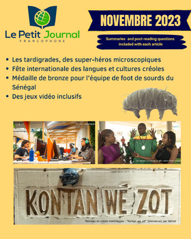 Preview of Monthly news summaries for French students: November 2023