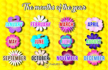 Preview of Months Of The Year Educational Poster