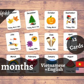 Months of the year flash cards~fun colour cards~3 x designs~Large 19cm x 5cm 