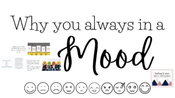 Preview of Mood Mini Lesson