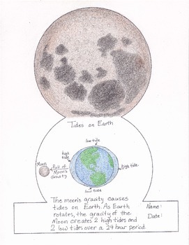 Preview of Moon Fold Over Book: Eclipses, Phases, Tides (NGSS MS-ESS1)