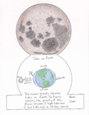 Moon Fold Over Book: Eclipses, Phases, Tides (NGSS MS-ESS1)