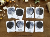 Moon Phases 3 Part Cards