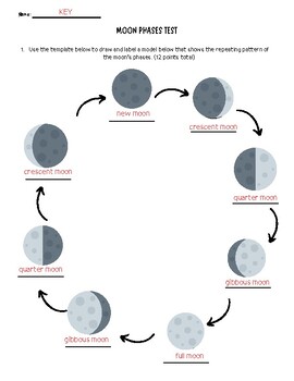 Moon Phases Assessment KEY by Savannah Beach | TPT