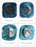 Moon Phases Flashcards