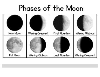 Moon Phases Flip Book (Differentiated) by Ms Vs Specialties | TPT