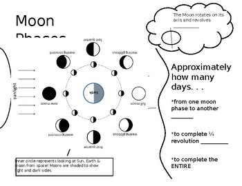 Moon Phases Foldable