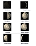 Moon Phases Match Up