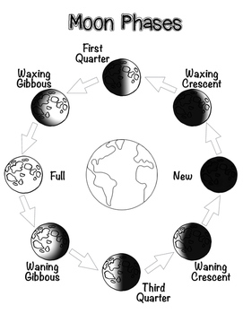 Moon Phases Worksheet | Distance Learning for Packets by A Double Dose ...