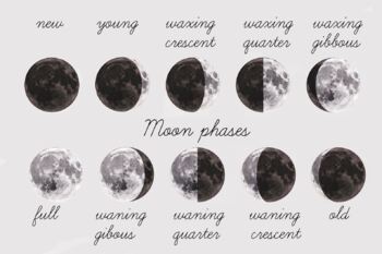 Preview of Moon Phases Poster A3