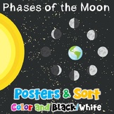 Moon Phases - Posters and Sorting Cards