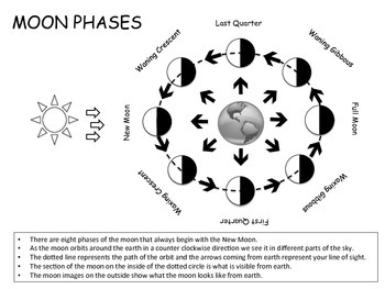 Moon Phases by Carolyn Cornelison - I Love To Learn | TPT