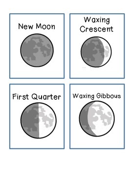 Moon Phases Vocabulary Cards by Shannon Knapp | Teachers Pay Teachers