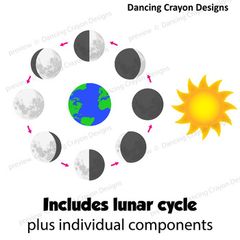 Lunar Cycle | Phases of the Moon Clip Art by Dancing Crayon Designs